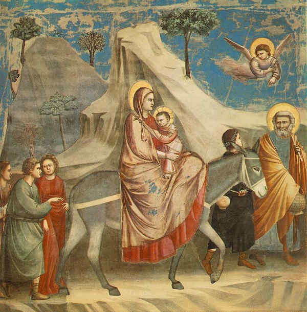 Image 22