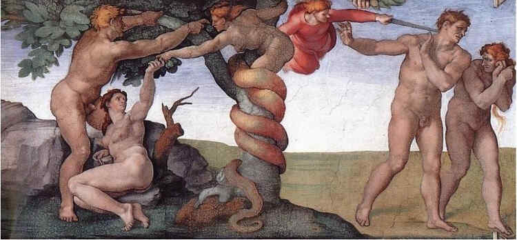 Image 39