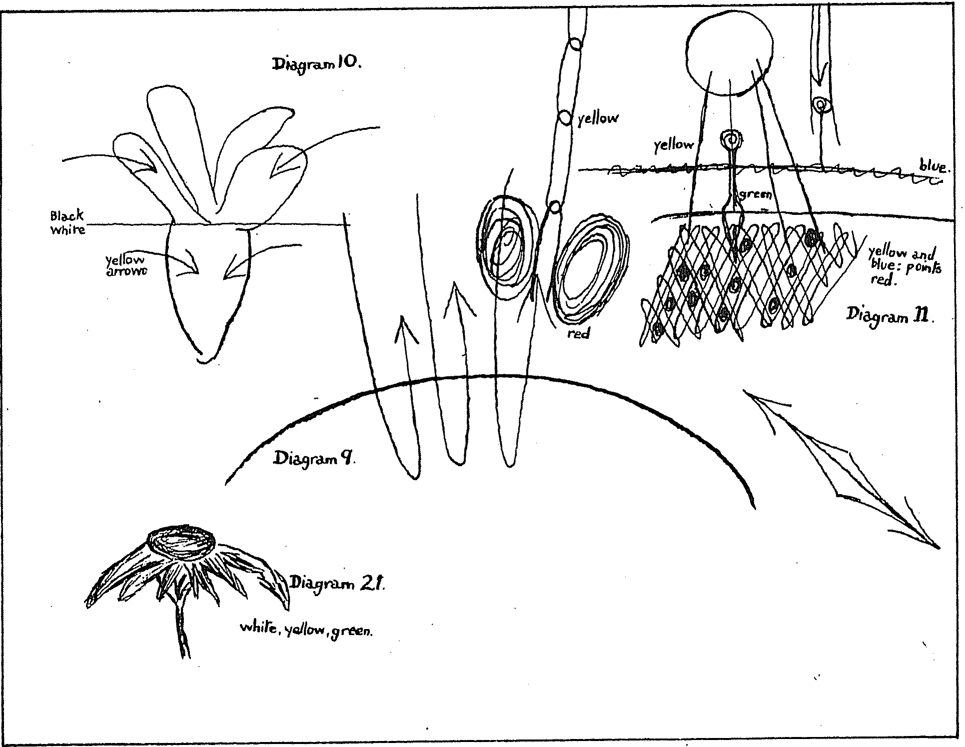 Diagram VI