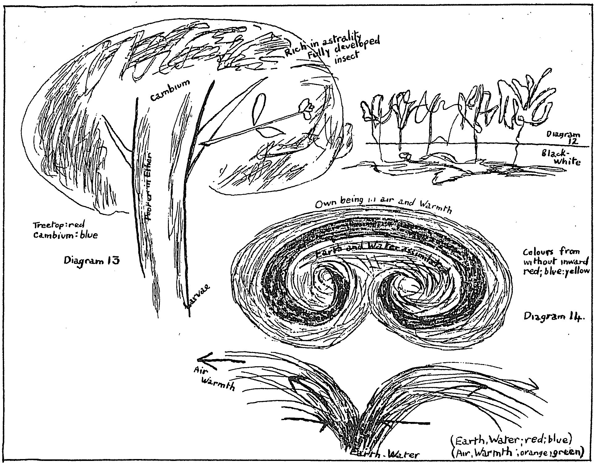 Diagram II